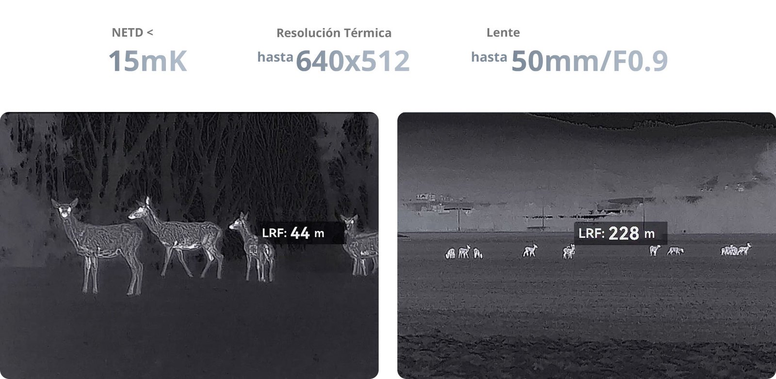 Condor-2.0-Imagen-02-M