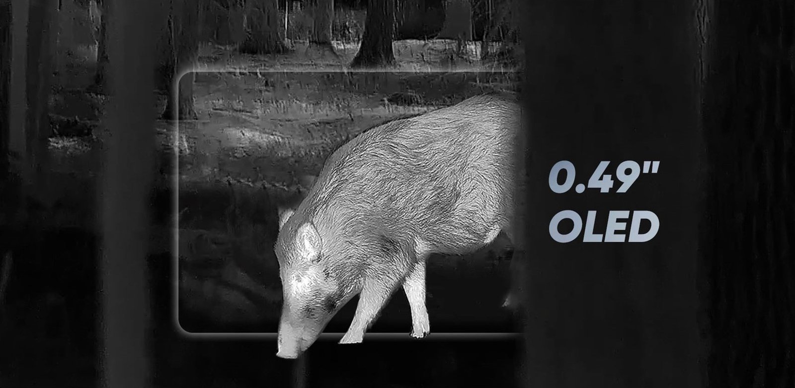 Condor-2.0-Imagen-05-M