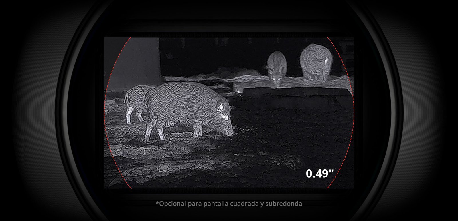 Falcon-2.0-Imagen-06-M