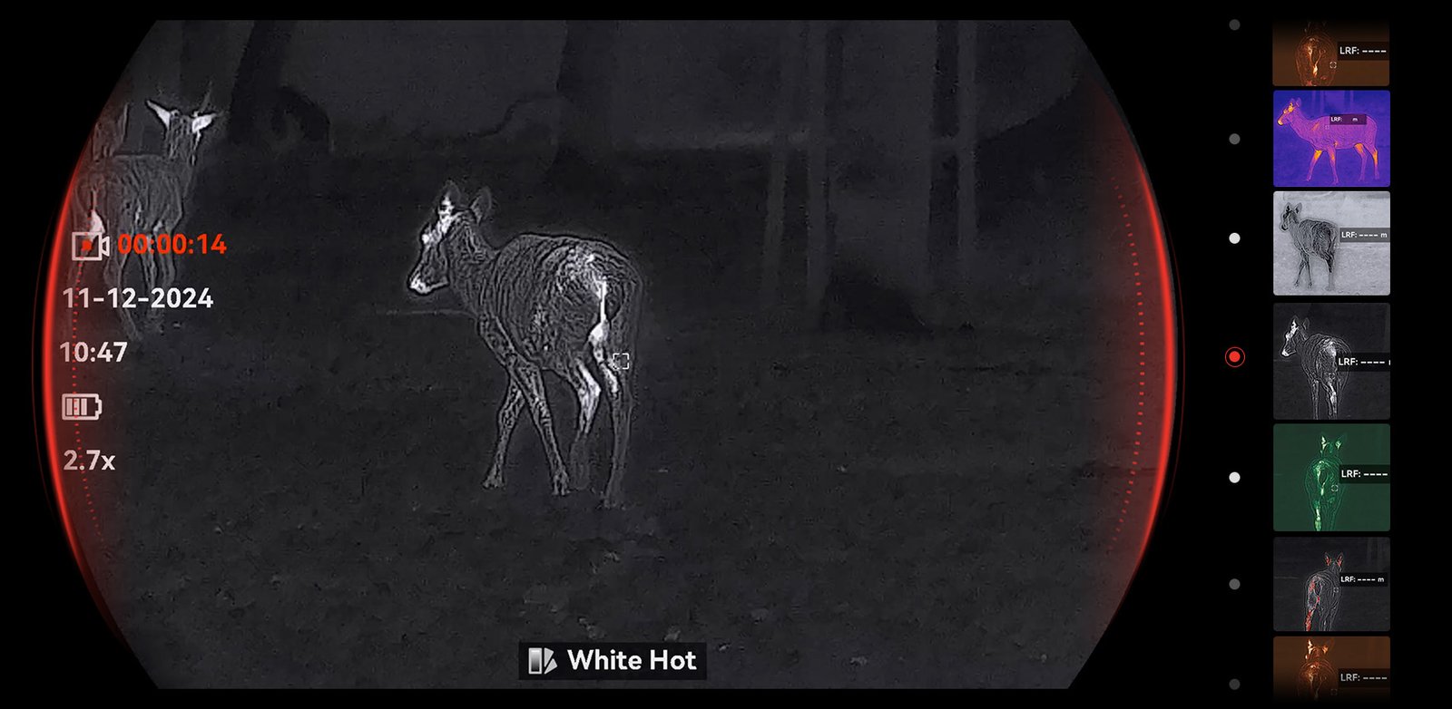 Falcon-2.0-Imagen-13-PC