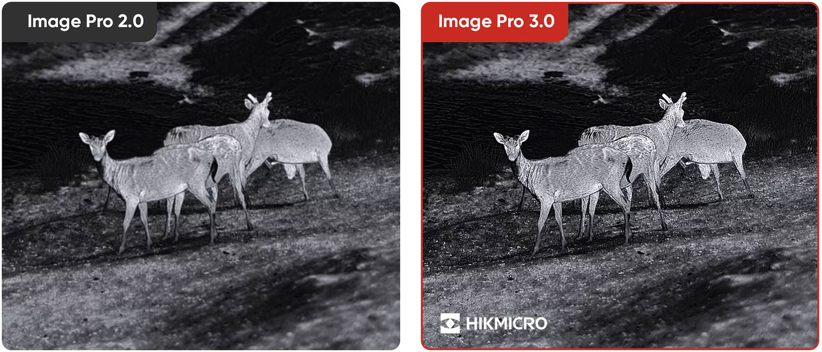 Habrok-Pro-Imagen-04-M