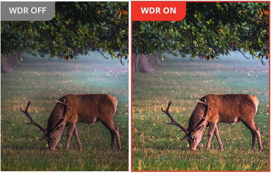 Habrok-Pro-Imagen-10-PC