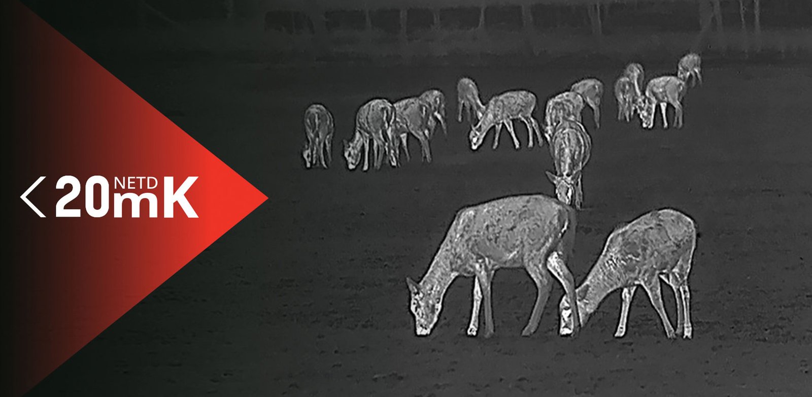 Lynx-2.0-Imagen-01-M